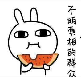 别人劝你吃瓜怎么回复,“吃瓜”劝诱，展现智慧与幽默