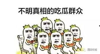 吃瓜有力,揭秘娱乐圈背后的真相与内幕