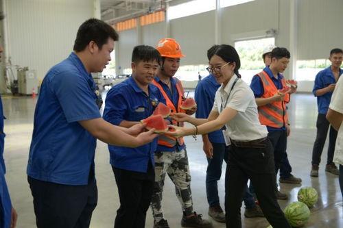 吃瓜群众透心凉的视频,揭秘视频背后的惊人真相