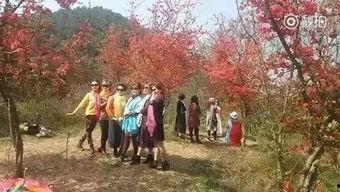 吃瓜路人花花,揭秘娱乐圈幕后故事