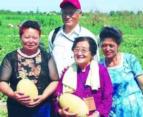 吃瓜教授与博士,揭秘学术界的趣味与智慧